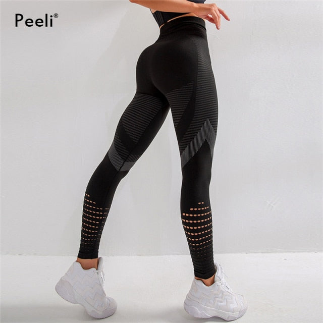 High Waist Seamless Leggings or Sports Bra - black / L - black / S - black / M - black / XL