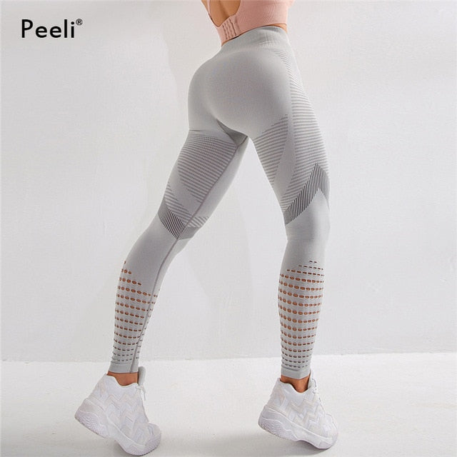 High Waist Seamless Leggings or Sports Bra - gray / L - gray / S - gray / M - gray / XL