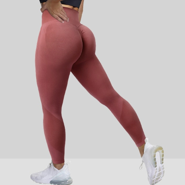 Women's High Waist Seamless Leggings - SL674DR / S - SL674DR / M - SL674DR / L - SL674DR / XS - SL674DR / XL